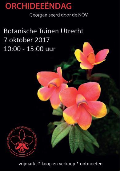 vanaf 19.00u Kring Utrecht 28 oktober-9 december www.orchideeenkringutrecht.