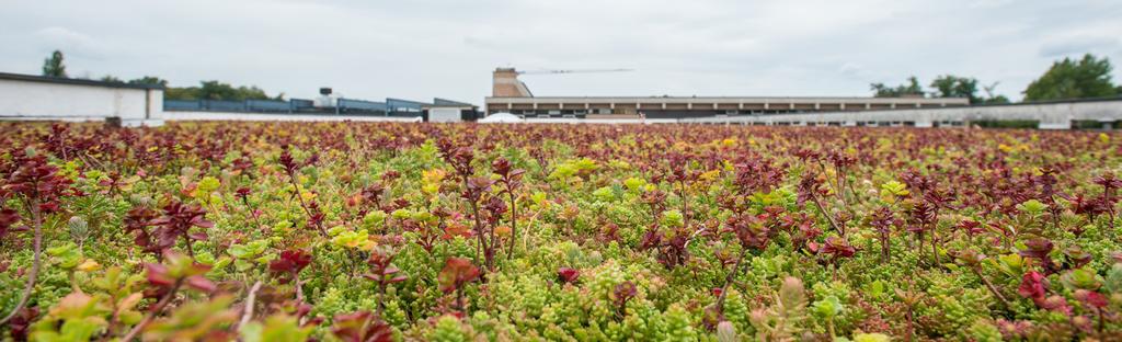 B. Bouwsector Op hoogte brengen en houden van ESCOLIMBURG2020 Kennis van toegepaste procedures overdragen om hen klaar te stomen voor de toekomst Stimuleren om hen meer te laten inschrijven op calls