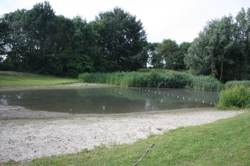 De stukken die normaliter onder water staan waren dan ook bedekt met een dun laagje detritus en algen, wat ook een