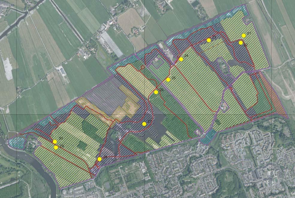 Bijlage: Locaties Figuur 6: Holierhoek Zuidrand