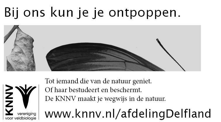 Contact gezocht Stuur deze pagina op naar KNNV afdeling Delfland Postbus 133, 2600 AC DELFT; of stuur een email aan: afdelingdelfland@knnv.