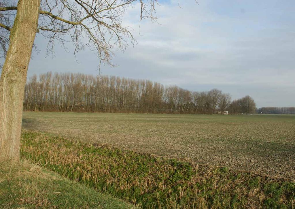 2. Polder roxenisse BEELDEN VAN HUIDIGE