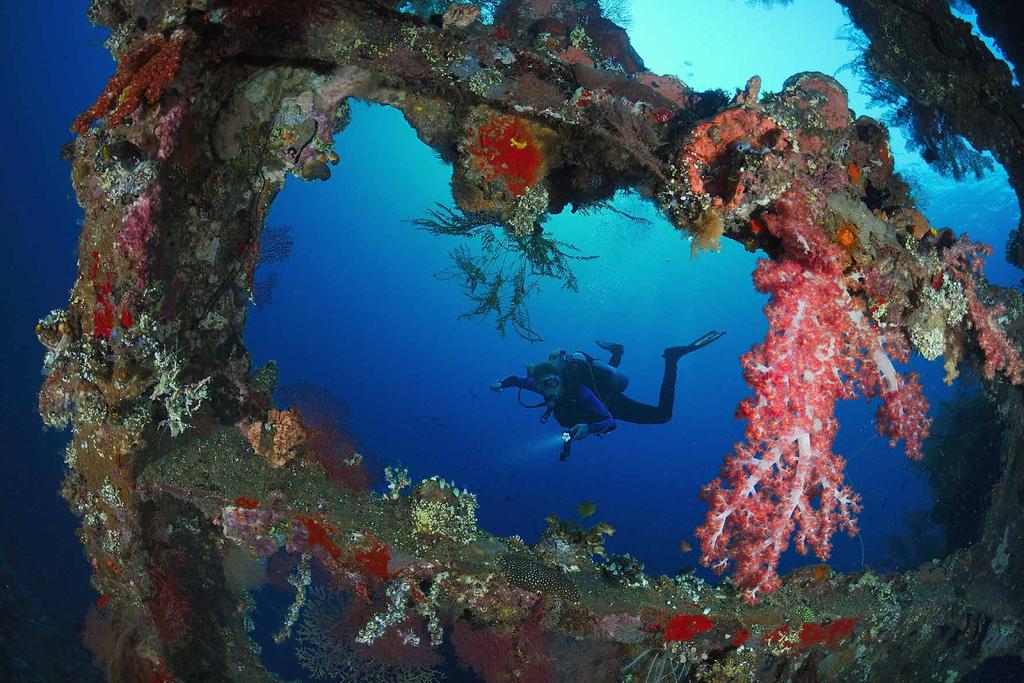 Tekst: Judith Rietveld Foto s: René Lipmann Liberty Wreck Het is een van de bekendste duiksites van Indonesië en staat in de wereldtop van beste duikwrakken.