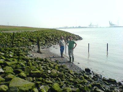 De golfwerking als gevolg van scheepvaartbewegingen zal waarschijnlijk toenemen door de aanwezigheid van de zwaaizone (boeg- en hekschroeven, activiteiten van sleepboten). Figuur 5.