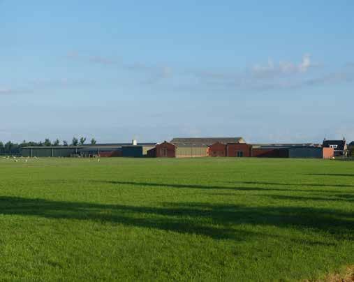 Naam locatie: Familie Keizer Straatnaam: Torensmaweg Huisnummer: 21-23 Postcode: 9892 TD Plaats: Feerwerd Aantal daken: 1 Ligging daken: Zuidelijk Totale benodigde +/- 450 m2 dakoppervlakte: