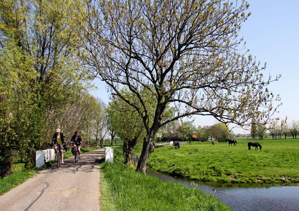 Leefbaarheid, goede bereikbaarheid en behoud van de groene ruimte in het stedelijk gebied kunnen hand in hand gaan.