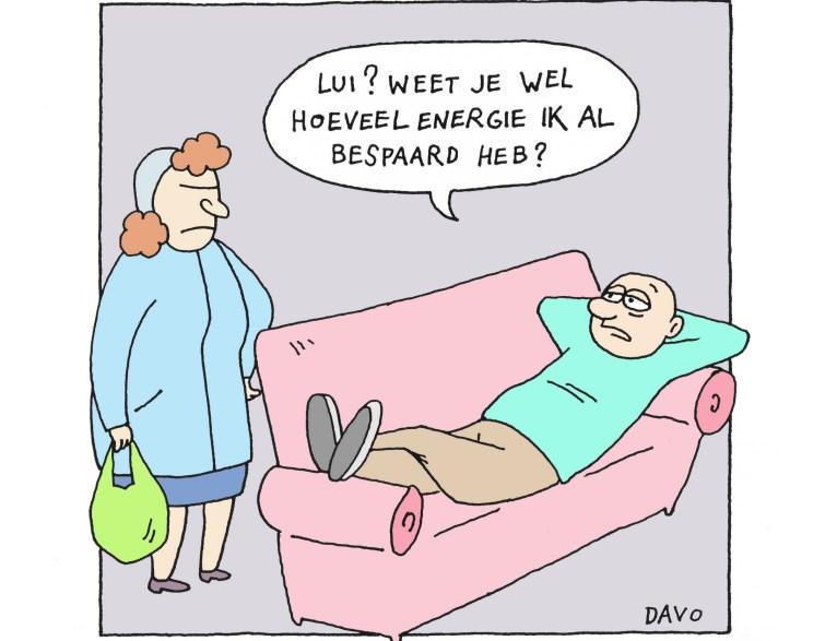 Energieverbruikers in rust Hart, nieren, lever, darmen, hersenen verbruiken bijna 80% van de