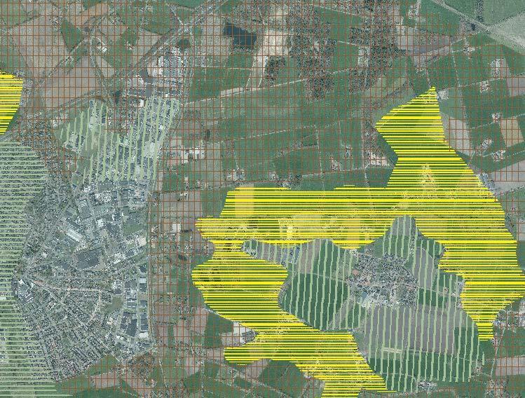 Figuur 9: Kampenlandschap(geel gearceerd), Heide/veldontginningen (bruin gerasterd) en Escomplex (groen verticaal gearceerd).