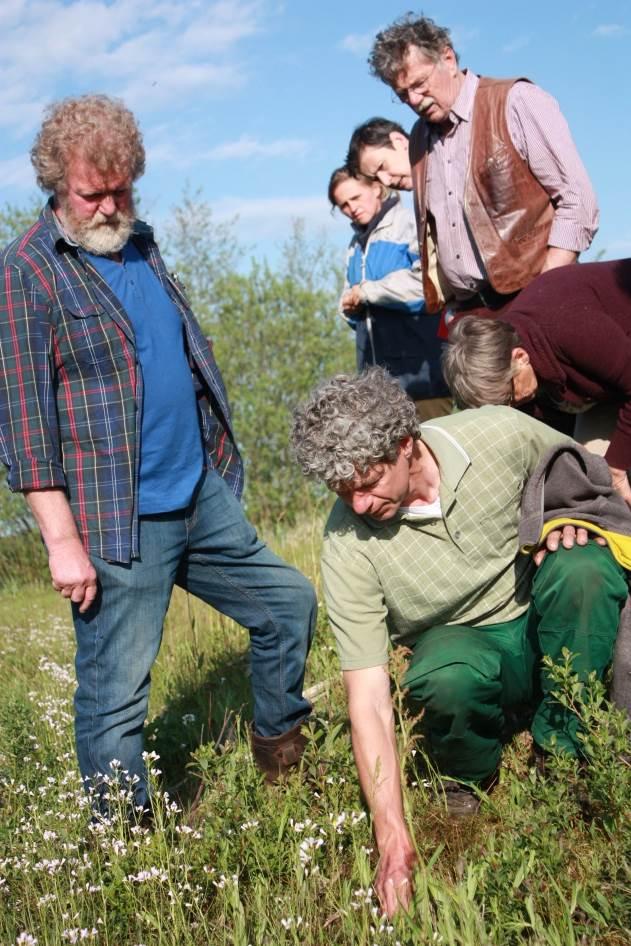 Odin-imkerij: weer bijenvolken op boerderijen Wat is er veranderd