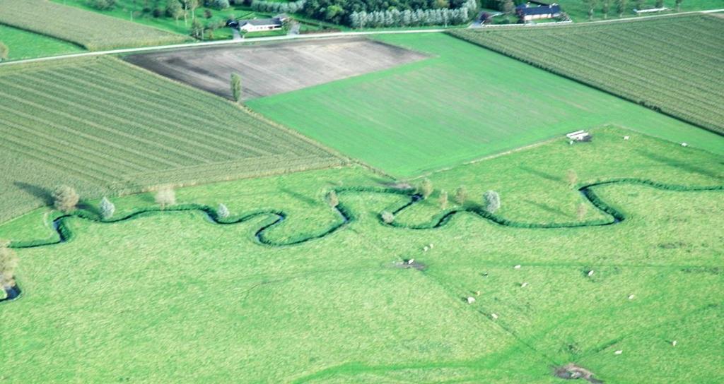 Situering- kenmerken van het afstroomgebied Groot deel in VEN (zeker cat 1, stroomafwaarts gelegen deel) + HRL SBZ Zandig Vlaanderen