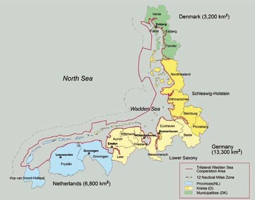 De Raad voor de Wadden is een onafhankelijk adviescollege dat in 2003 bij wet is ingesteld.