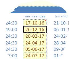 7. Tips bij het invullen, opslaan en bewaren van de werkmap 7.1 Beveiliging werkmap Om beschadiging van de map en werkbladen te voorkomen zijn de werkmap en de werkbladen vergrendeld (beveiligd).