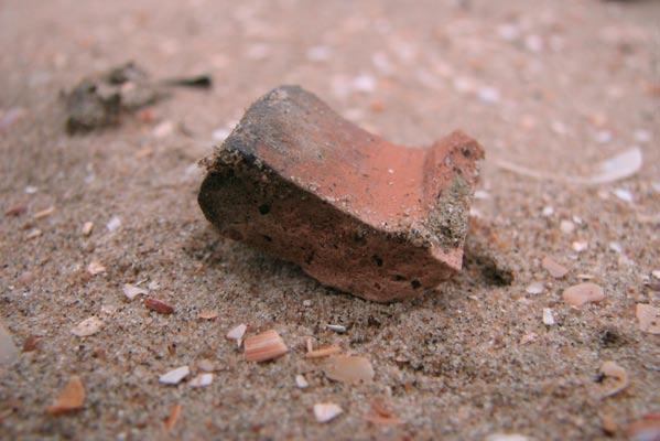 Onder het duinzand Verstoven vroegmiddeleeuwse nederzettingen in het nationaal park Zuid-Kennemerland bij Bloemendaal De opgravingscampagnes