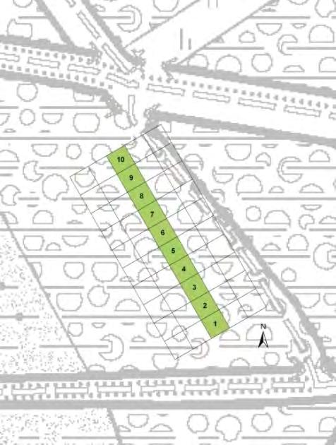 Fig. 3.3 - Ligging onderzocht transect in de droge kernvlakte ( Coolhembos Moerhoek ) Coolhembos De Moeren, met aanduiding van de bomen met een DBH > 5 cm (>10 cm voor liggend dood hout).