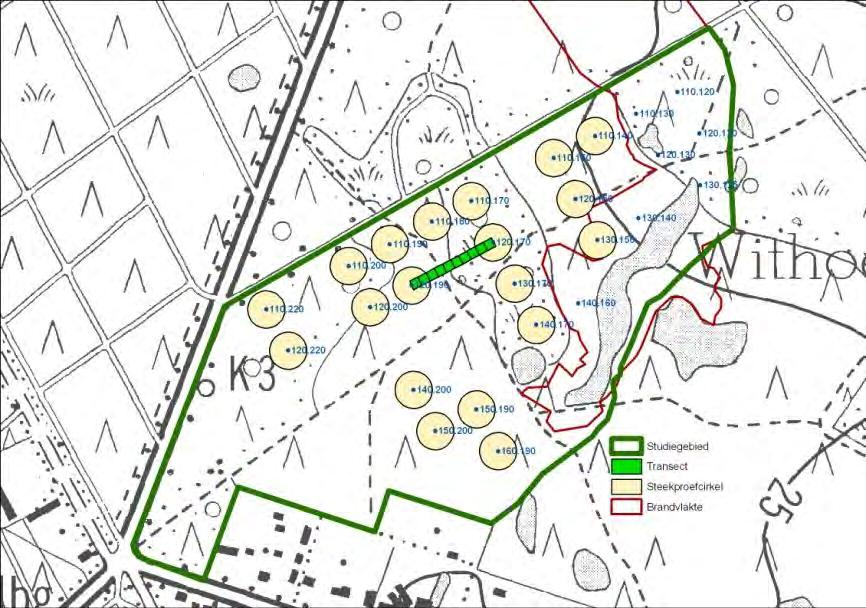 7 Paddenstoelen van reservaat Withoefse heide 7.1 