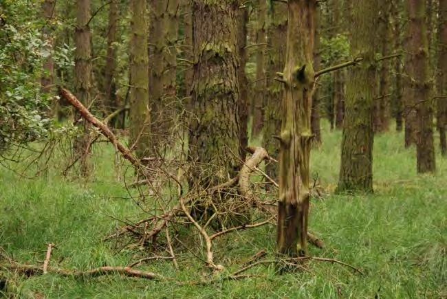 Vergelijken we deze cijfers met het globale beeld voor het reservaat, op