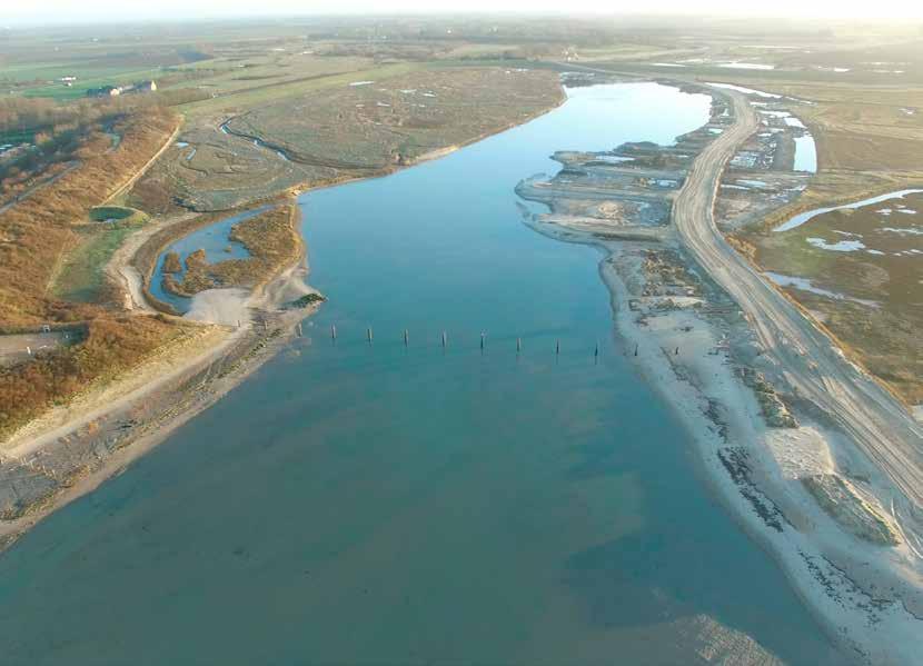 (beeldbewust) Werfpiste doorheen de zwingeul Eerste resultaten en conclusies Net zoals de voorgaande LIFE-natuurherstelprojecten aan de Vlaamse kust heeft ook dit project, dat afliep op 31 december