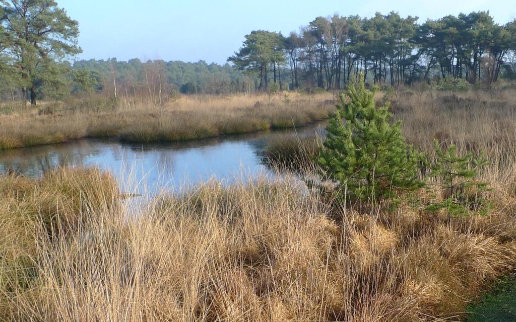 TOP NATUUUR IN BEERZE ROUTE 4,3 km 20 17 We zijn trots dat we acht gebieden beheren die zijn aangewezen als Natura2000. Gebieden die bij de top van de Europese natuur horen.