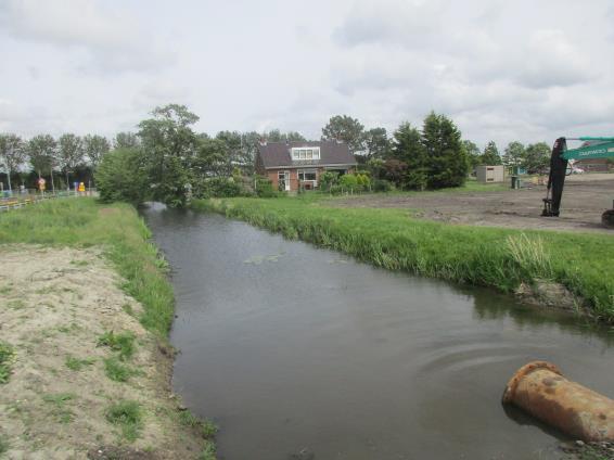 Tijdens de quickscan bleek dat een deel van de bebouwing binnen het plangebied geschikt is als vaste verblijfplaats voor vleermuizen en/of de Huismus.