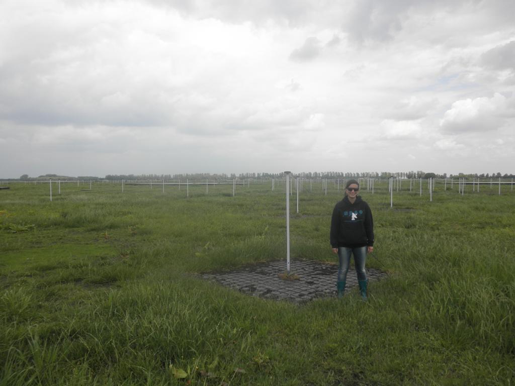 De LBA-antennas liggen op de voorgrond met daarachter de HBAantennes bij