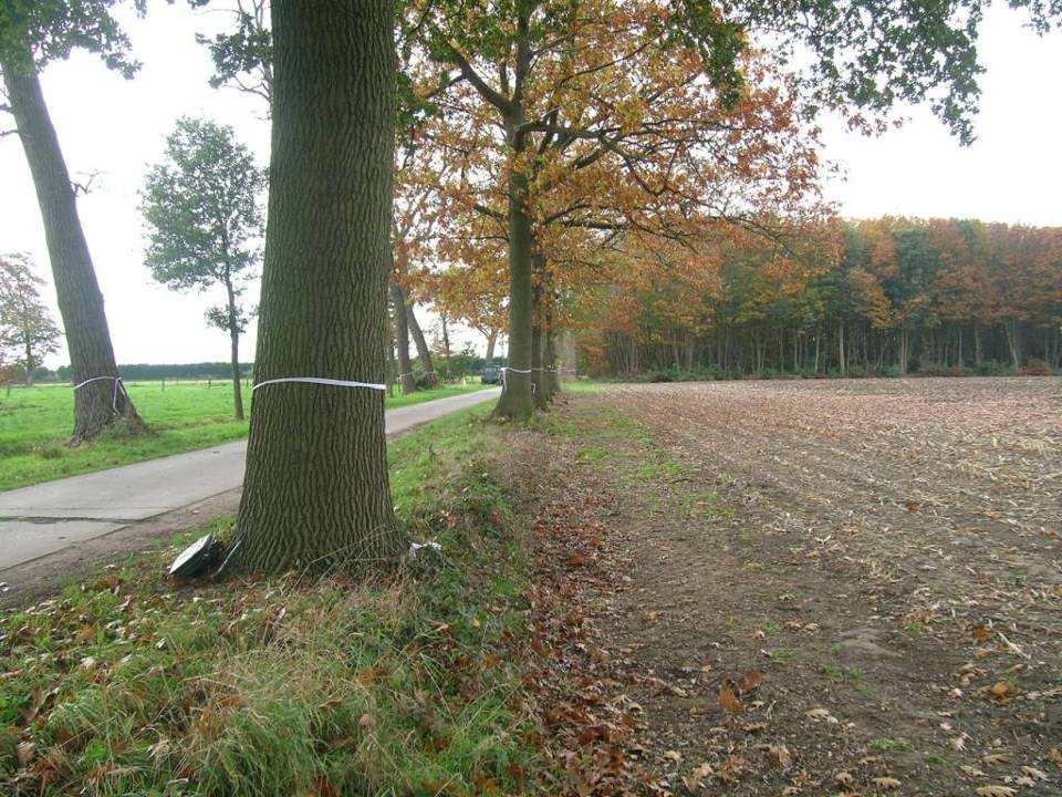 Welke activiteiten zijn natuurvergunningsplicht? Vegetatiewijziging: afbranden vernietigen, beschadigen of doen afsterven van vegetatie met mechanische of chemische middelen reliëfwijziging, incl.