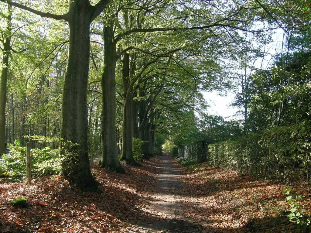 NATUURBELEID natuur bos landschap randvoorwaarden KWANTITEIT incl. ruimtelijke kwaliteit ruimtelijke ordening KWALITEIT milieukwaliteit milieuhygiëne Soortenbesluit = B.Vl.Reg.