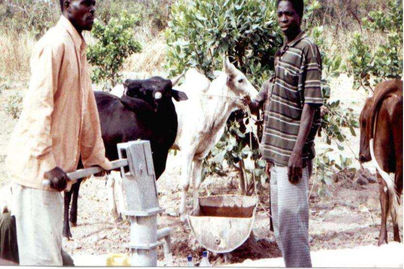 Daarom ook een landelijke Vastenactie, bestemd voor een derde wereld land. Al enkele jaren brengt onze parochie geld bijeen voor Burkina Faso.