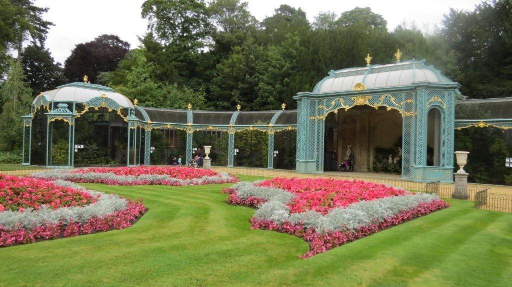 We hadden de keuze uit een bezoek aan Natural History Museum te Tring of Waddesdon Manor (een kasteel van Rothschild waar prachtige volières staan).