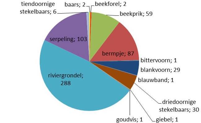 Het referentietraject in het Stemerdinkbos had zowel in 2015 als in 2016 een hoge mate van structuurvariatie. Alle voorkomende substraattypen komen op korte afstanden van elkaar voor.