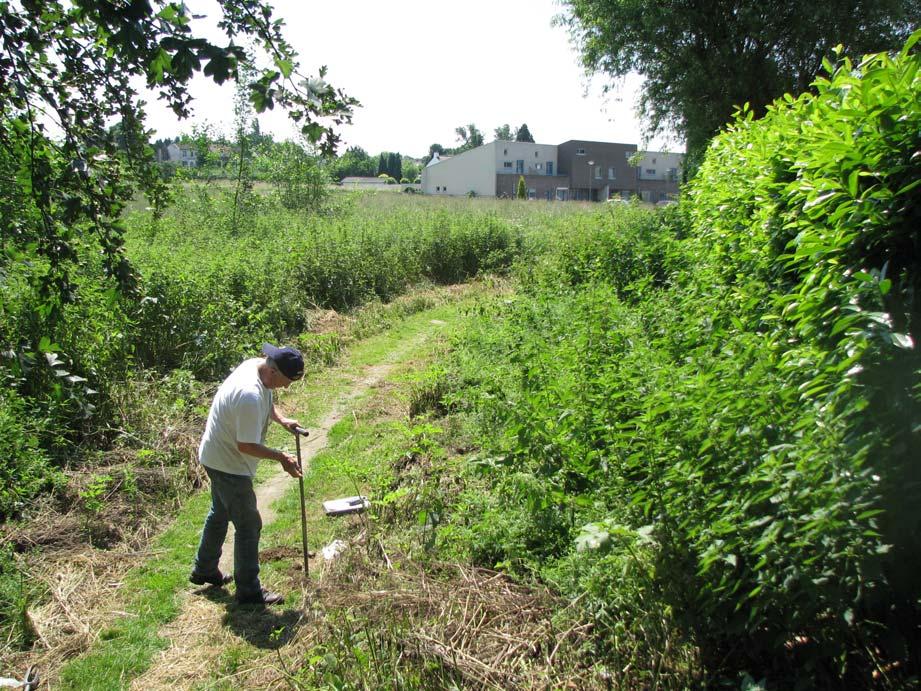 ArcheoPro Archeologisch rapport Nr 853 Achter de Groene Weg, Obbicht Gemeente Sittard-Geleen Inventariserend Veldonderzoek