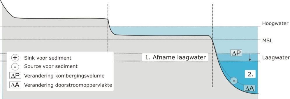 Het gevolg van de toename van P is dat de geulen als een bron van sediment gaan fungeren, omdat het doorstroomoppervlak zal moeten toenemen (2 in figuur 3.2). Figuur 3.