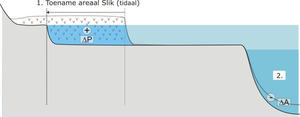 4 geeft een schematische weergave van de toename van het areaal intergetijdegebied, zoals dat optrad bij het overstromen van verveende gebieden en bij het wederom overstromen van polders door