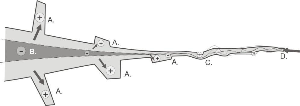 Figuur 6.8 Schematische weergave van de bronnen (-: sources ) en putten (+ sinks ) in het Schelde-estuarium, in de periode tot ongeveer 1960 waarbij het merendeel van de zijarmen nog actief waren. B.
