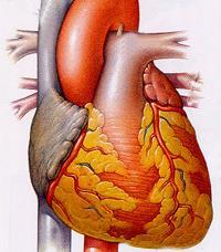 Patiëntenbrochure hartkatheterisatie