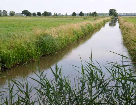 46 Kernkwaliteiten Nieuwe Hollandse Waterlinie Ontwikkelingsperspectief Voor het ruimtegebruik van de inundatiekommen kan op hoofdlijnen gezegd worden dat grondgebonden agrarische activiteit, natuur,