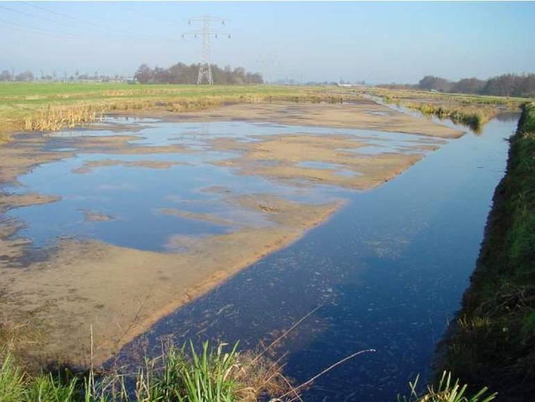 Figuur 7.1 Een afgeplagde bodem in de Gagelpolder, ten behoeve van het herstel van natte en schrale condities.