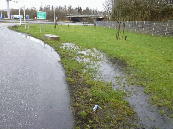 akteschade Ernstig, Gevo