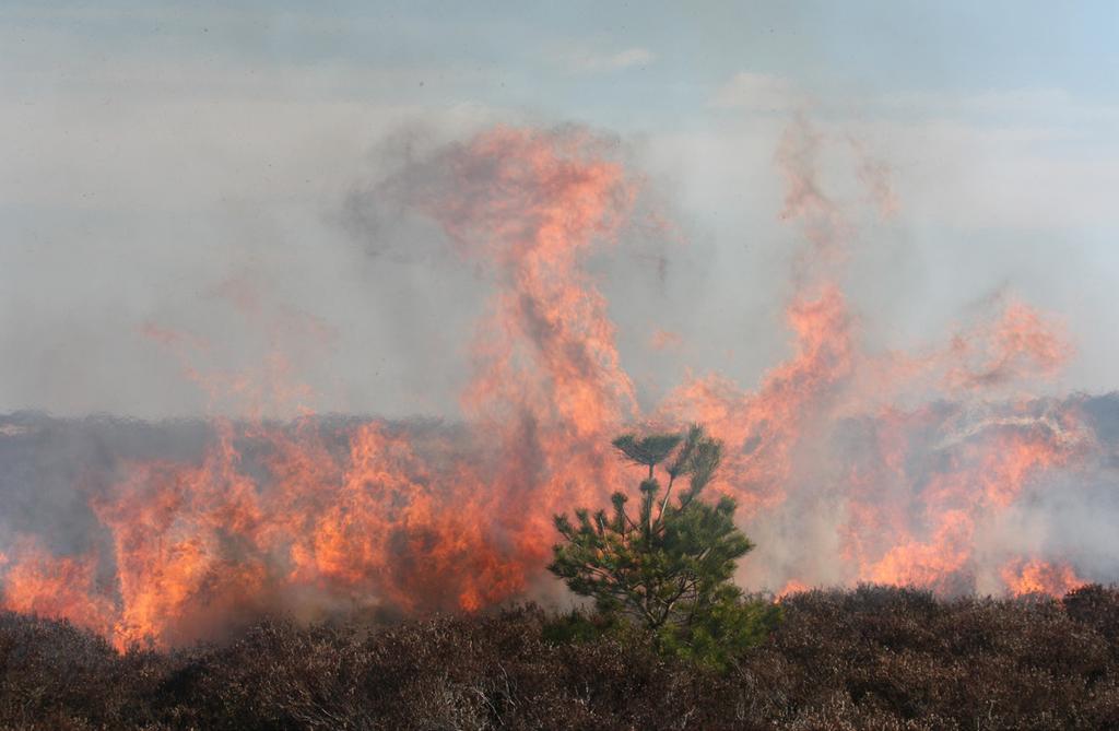 Een aantal van deze factoren wordt onder andere met behulp van meetstations bepaald. Het actuele risico op het ontstaan van onbeheersbare natuurbranden wordt vermeld op www.natuurbrandrisico.nl.