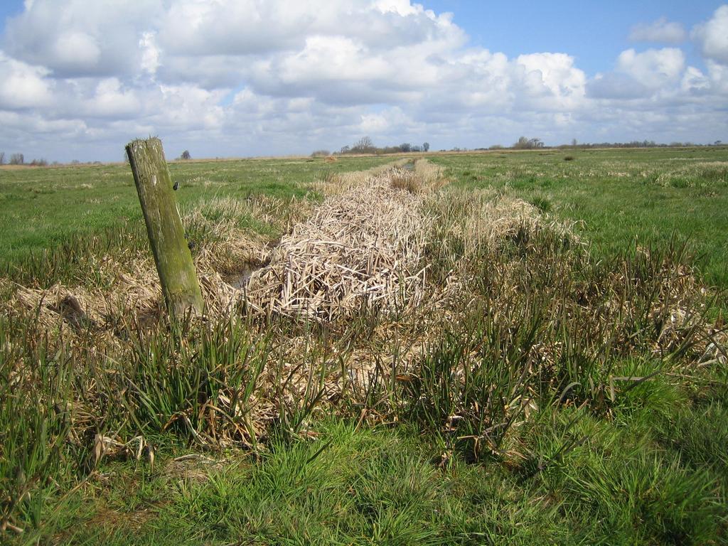 Vlees noch vis polders sommige winterpolders met natuurbeheer functioneren niet goed.