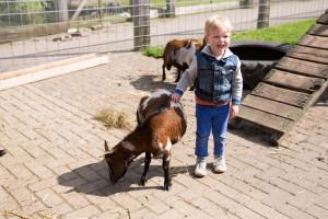 Groep 1 / 2 Schoolreisje. Wij gaan een dagje uit! Zoals beloofd, vertellen wij deze week over het schoolreisje op donderdag 2 juni. Wij gaan naar De Flierefluiter in Raalte.