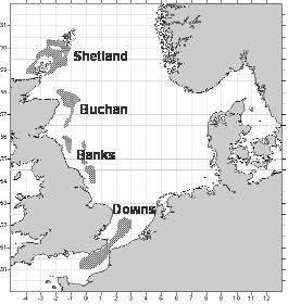 5.3 Haring Clupea harengus herring Voortplanting (Ter Hofstede et al. 2008) Haringen zijn demersale paaiers die grindachtig substraat nodig hebben om te paaien.