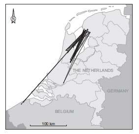 In het voorjaar van 2013 hadden we een extreem koud voorjaar en sneeuwstormen. Hoe gingen de grutto s daarmee om?