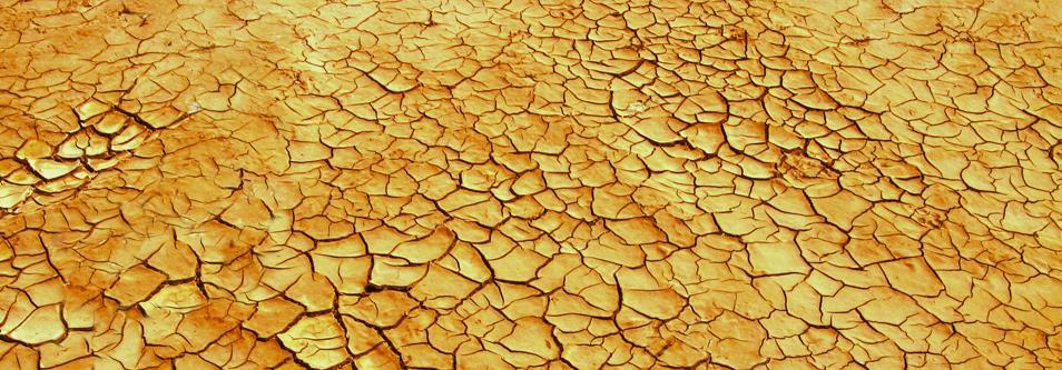 Woestijnen van zout komen niet veel voor. Ze ontstaan als een zee of zout water meer is opgedroogd. Wat overblijft is een laag zout. In een zoutwoestijn leven niet veel planten en dieren.