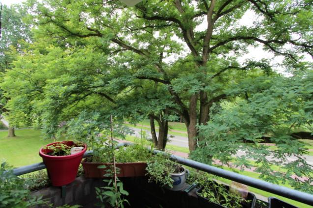 Het balkon biedt fraai uitzicht