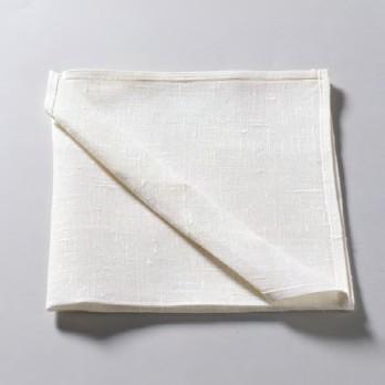 www.dhconcept.ch Paper and Cloth Napkins We offer you a wide range of paper and/or cloth napkins at the best price.