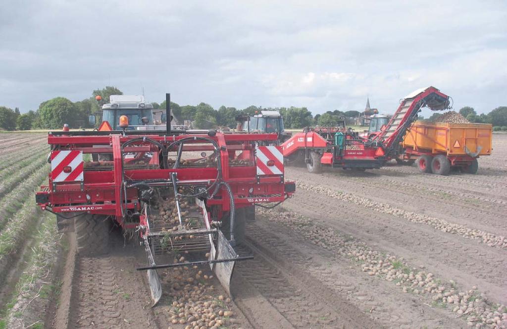 Medewerkers van Hubertus Clevering rooien Jaerla s in de buurt van Warffum.