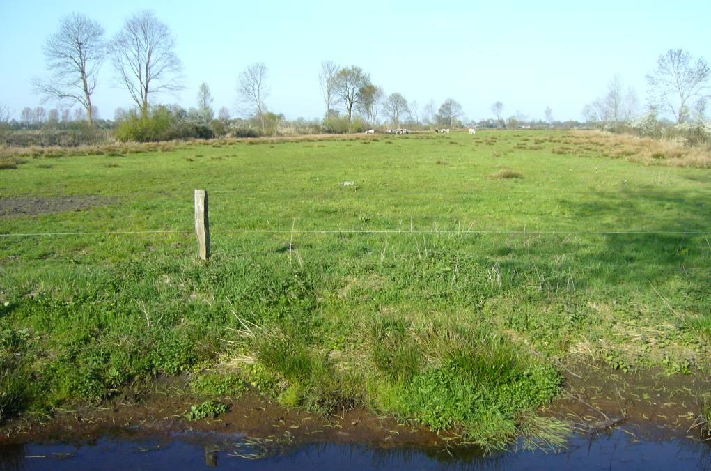 DE NATTE LAGE BROEKGEBIEDEN HEBBEN