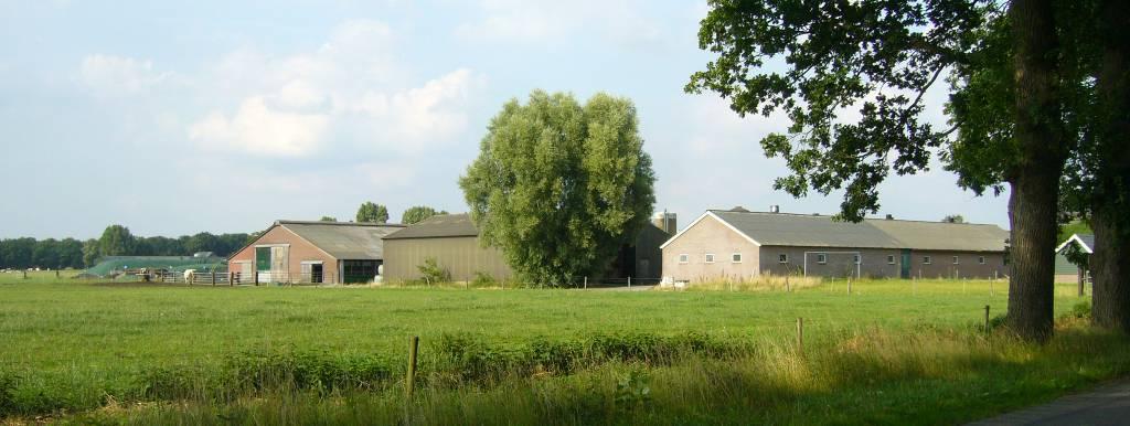 Los van een authenticiteitsvraastuk is de wenselijkheid hiervan sterk afhankelijk van de landschappelijke karakteristiek van het ebied.