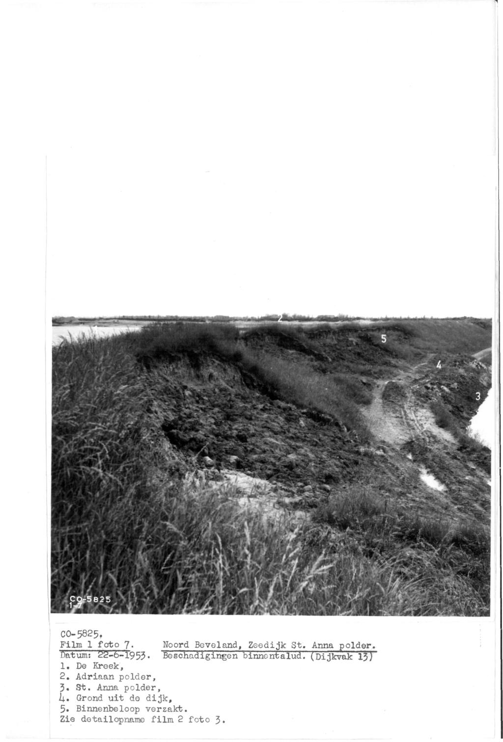 co-5825. Film 1 foto 7. Noord Beveland, Zeedijk St. Anna polder. Datum: 22-6-1953. Beschadigingen binnentalud. (Dijkvak 13) 1.