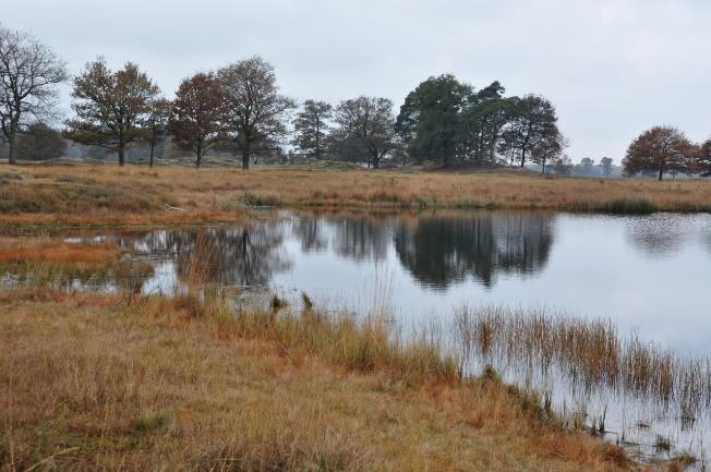 Tweede LA, (bij het bordje van het Drenthe pad). Einde RA.